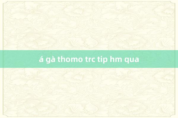 á gà thomo trc tip hm qua