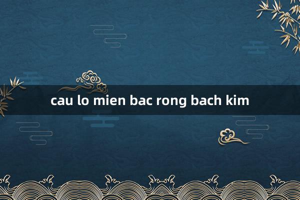 cau lo mien bac rong bach kim