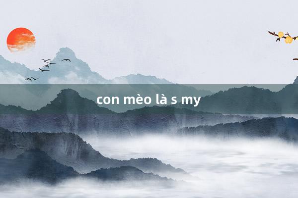 con mèo là s my