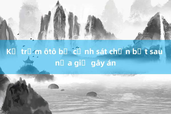 Kẻ trộm ôtô bị cảnh sát chặn bắt sau nửa giờ gây án