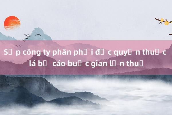 Sếp công ty phân phối độc quyền thuốc lá bị cáo buộc gian lận thuế