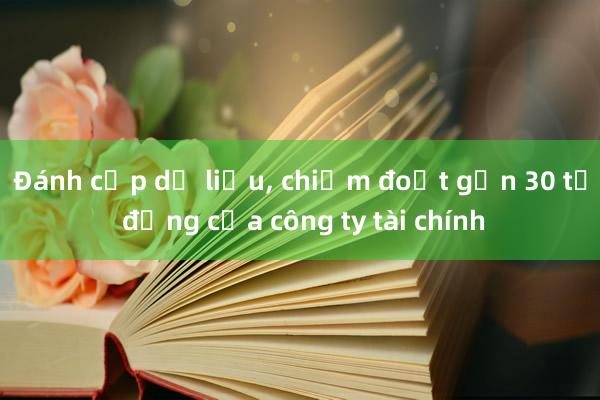 Đánh cắp dữ liệu， chiếm đoạt gần 30 tỷ đồng của công ty tài chính