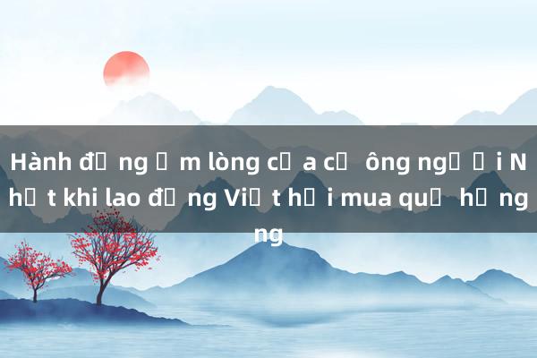 Hành động ấm lòng của cụ ông người Nhật khi lao động Việt hỏi mua quả hồng