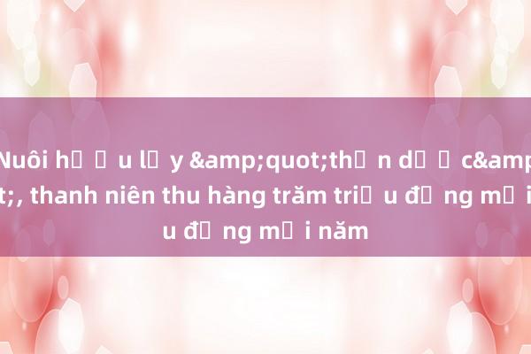 Nuôi hươu lấy &quot;thần dược&quot;, thanh niên thu hàng trăm triệu đồng mỗi năm