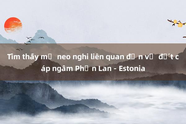 Tìm thấy mỏ neo nghi liên quan đến vụ đứt cáp ngầm Phần Lan - Estonia